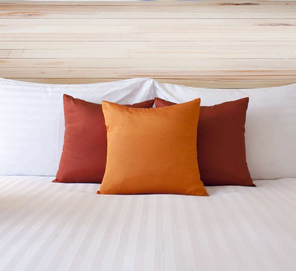 Econo Lodge Inn & Suites Sweetwater I-20 Номер фото